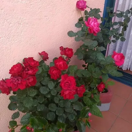 Houri's Διαμέρισμα *