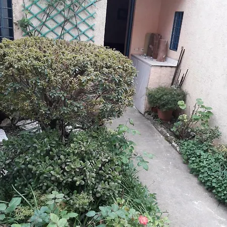 Houri's * Barbati