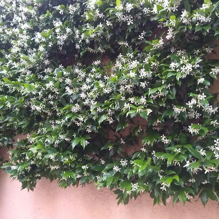 Houri's Appartamento *