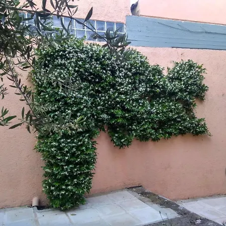 Houri's Barbati